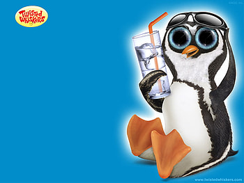 Cool Penguin, animal, penguin, sunglasses, cool, water HD wallpaper