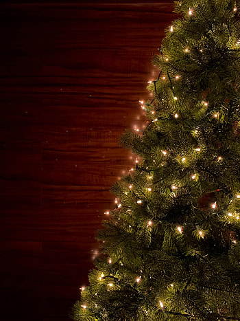 Holidays, New Year, Christmas, Christmas Tree, Garland, Garlands HD phone wallpaper