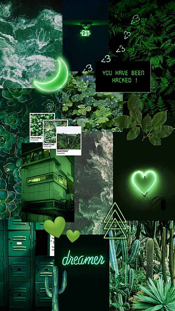Cute Green Background, green, greenworld HD phone wallpaper