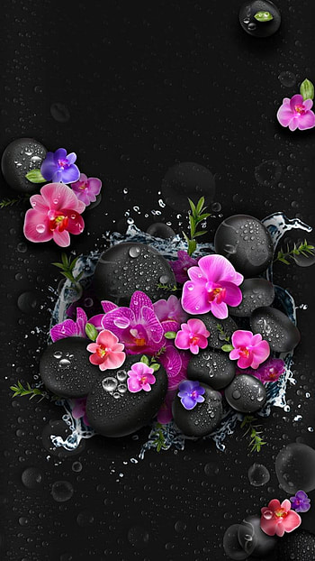 Orchids and Stones, water, stone, earth, nature, orchid HD phone wallpaper
