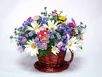 Flowers, Camomile, Beauty, Bouquet, Butterfly, Composition, Different HD wallpaper