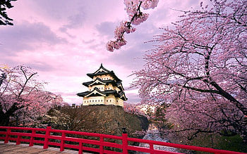 Matsumoto Castle , Wallworld, Striking visuals, Castle fascination HD wallpaper