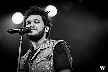 The Weeknd HD wallpaper