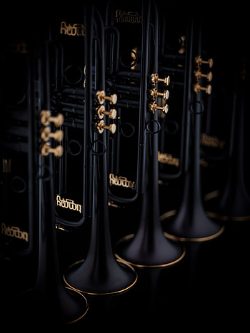 Timmy Trumpet, Schagerl intermediate brass, Musician spotlight, Energetic performance HD phone wallpaper