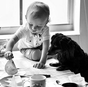 TEA FOR TWO, DOG, BOY, TEA, TIME, LITTLE HD wallpaper
