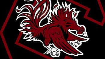 South Carolina basketball staff, Update news, Coaching changes, Team updates HD wallpaper