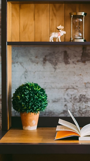 Shelf, Desk, Bookshelf HD phone wallpaper