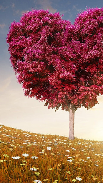 Love , Nature, Love HD phone wallpaper