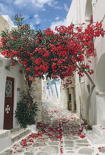 Beautiful alleyway on Paros: Greece landscape, Quaint streets, Charming corners, Serene beauty HD phone wallpaper