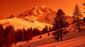 Majestic Snowy Mountain - Ultra, Snowy Mountain, mountain, snow, tree HD wallpaper