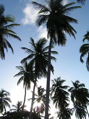 Old Providence, Authentic Caribbean charm, Cultural heritage, Rich history HD phone wallpaper