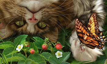Catching butterflies, strawberry, frumusete, eyes, fluture, alenaekaterinburg, cat, summer, pisici, butterfly, fantasy, flower, fruit, capsuni, luminos, paw, vara HD wallpaper