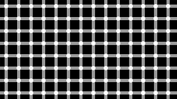 Grid Illusion, squares, illusion, abstract, Grid, lines, dots HD wallpaper