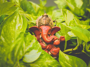 Lord Ganesh, religious, statue HD wallpaper