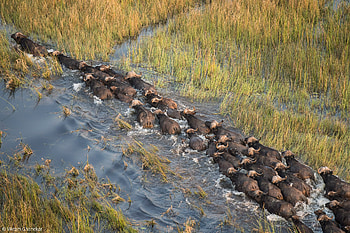 Okavango Delta, Travels, Breathtaking landscapes, Serene waterways HD wallpaper