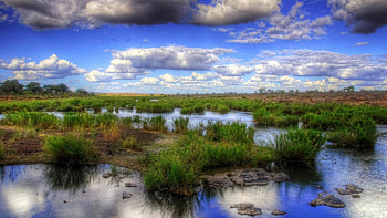 lovely clouds over a swamp r, clouds, swamp, sky, r, grass, rocks HD wallpaper