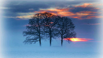 Winter landscape, sunset, snow, landscape, colors, trees, clouds, sky HD wallpaper