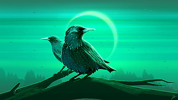 Starling Eclipse , artist, artwork, digital-art, deviantart HD wallpaper