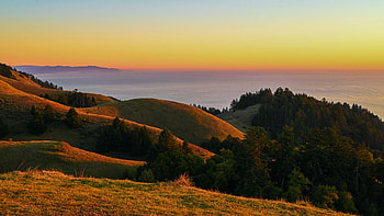 Sunset on the California Coast, sky, usa, sea, trees, landscape, colors HD wallpaper