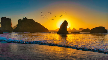 Sunset At Bandon, sunset, birds, ocean, nature HD wallpaper