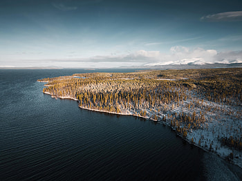 Winter Sea Trees Aerial View , trees, nature HD wallpaper