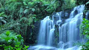 Tropical rainforests, Cascading waterfalls, , Nature's tranquility HD wallpaper