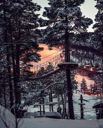 Winter, Nature, Sunset, Snow, Forest, Structure HD phone wallpaper