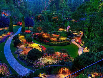 Flower garden, house, green trees, lights, street, beautiful views, colorful flowers, forest, evening HD wallpaper