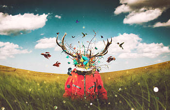 Cosmonaut, Art, Field, Imagination, Deer, Horns, Surrealism HD wallpaper