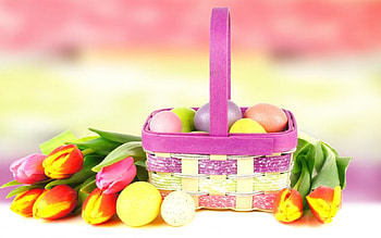 Easter Basket, basket, Easter eggs, Easter, tulips, eggs HD wallpaper