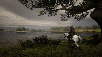 Red dead redemption 2, Red Dead Redemption 2 HD wallpaper