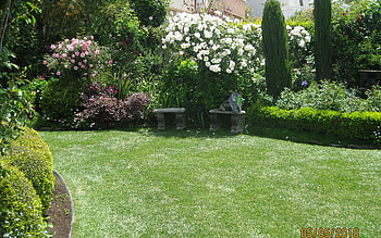 seating for two, two, stone bench, roses, garden, seating, home HD wallpaper