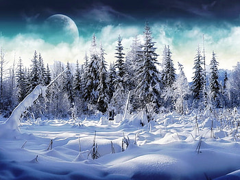 Winter day, winter, day, planet, moon, cold, trees, sun HD wallpaper