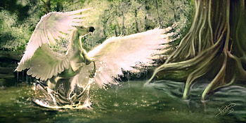 Pegasus, wings, white, horse, art, summer, feather, fantasy, green, luminos, water, forest, vara HD wallpaper