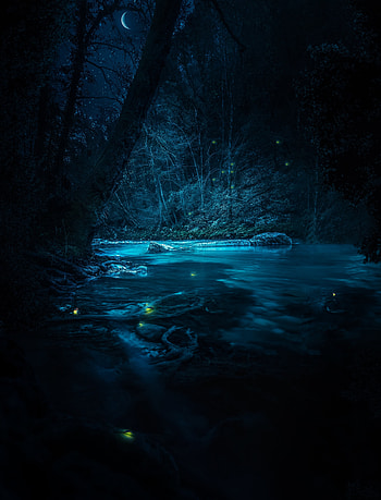 Nature, Rivers, Trees, Stones, Night, Shine, Light HD phone wallpaper