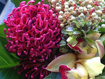 BEAUTIFUL FLOWERS, FLOWERS, NATURE, BEAUTIFUL HD wallpaper