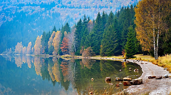 Autumn River, trees, forest, rocks, beach HD wallpaper