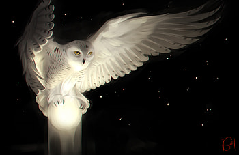 Snowy Owl, owl, artist, artwork, deviantart HD wallpaper