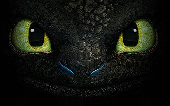 Night Fury HD wallpaper