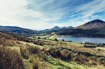 Landscape, Nature, Mountains, Lake, Forest HD wallpaper