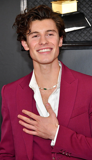 Grammy Awards 2020, Shawn Mendes HD phone wallpaper