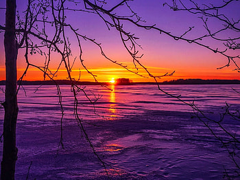 Evening Magic, Beach, Sky, Branches, Beauty HD wallpaper