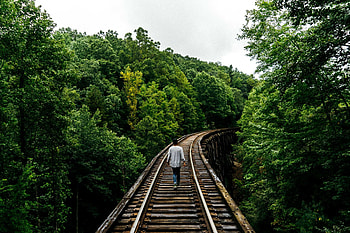 Nature, Trees, Stroll, Human, Person, Railway HD wallpaper