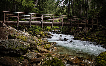 Darrington, Washington, stream, trees, bridge, forest, rocks, usa, stones HD wallpaper