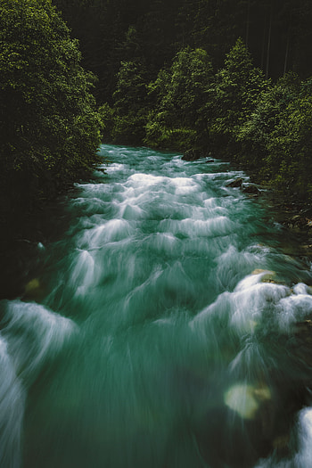 Nature, Rivers, Trees, Forest, Flow HD phone wallpaper