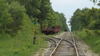 track to no where, trees, tracks, wood, greens HD wallpaper