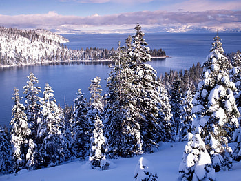 Winter landscape, winter, season, lake, tree HD wallpaper