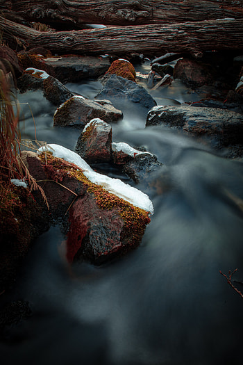 Nature, Water, Rivers, Stones, Creek, Brook, Logs HD phone wallpaper
