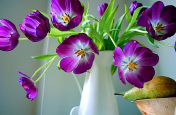 Still life, bouquet, vase, beautiful, fruits, tulips, beauty, nice, tender, purple, pear, delicate, pretty, violet, flowers, lovely HD wallpaper
