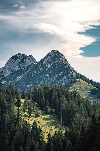 Nature, Trees, Sky, Mountains, Vertex, Spruce, Fir, Tops HD phone wallpaper